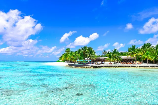 Maldives Sandbank Picnic & Reef Snorkel